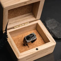 Bague Binomial