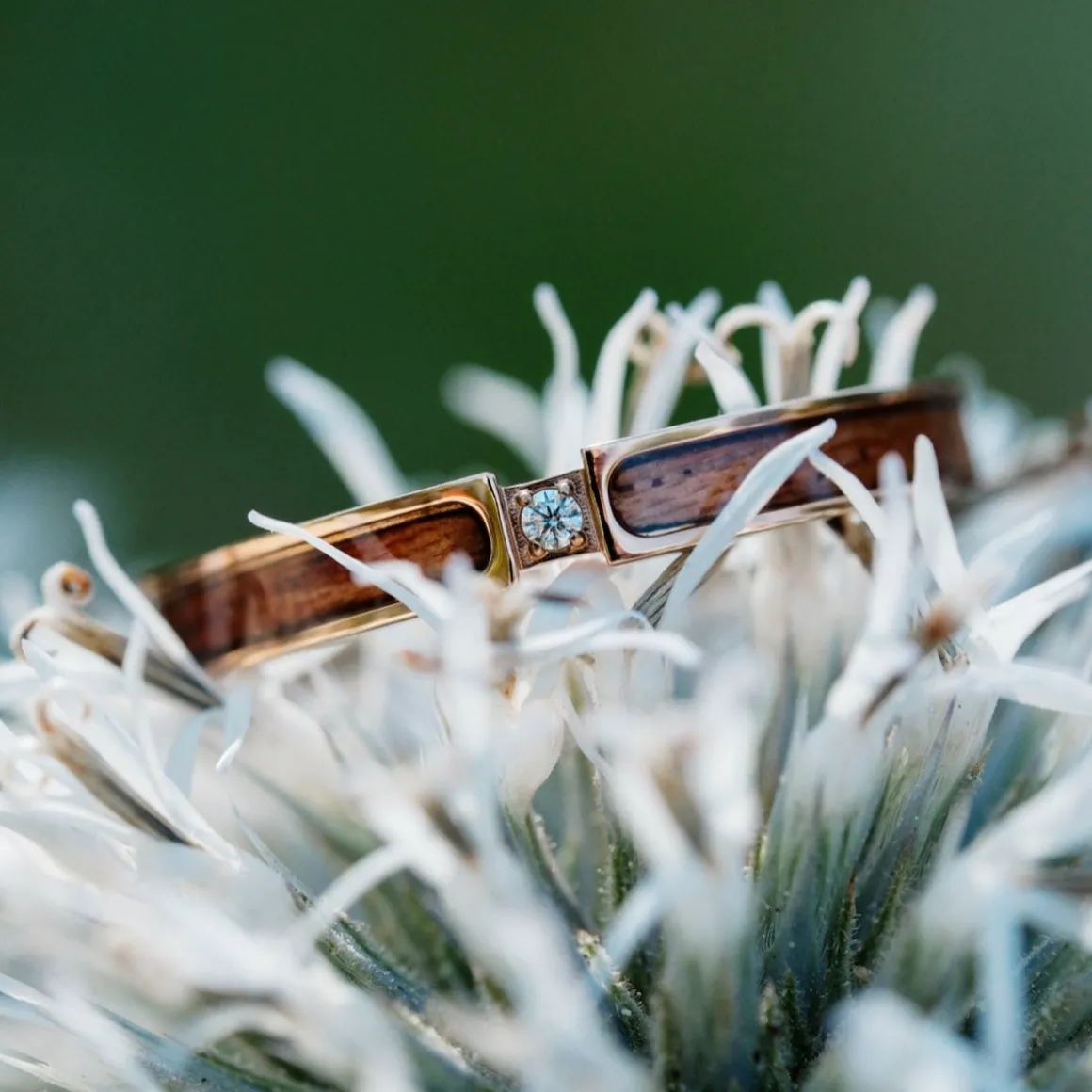 BAGUE CAMPANIA