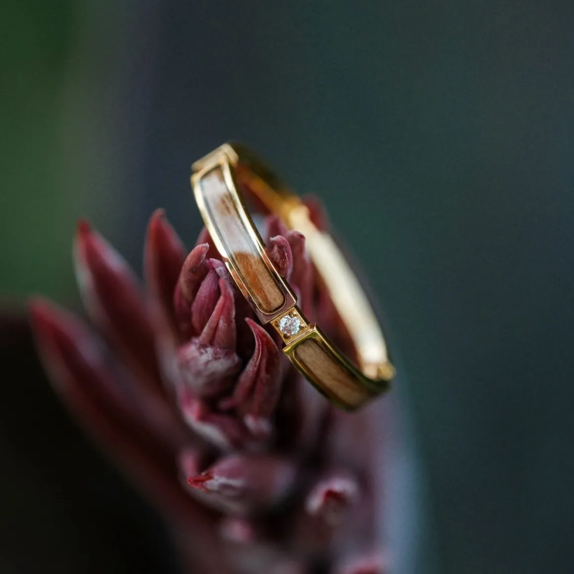 BAGUE CAMPANIA