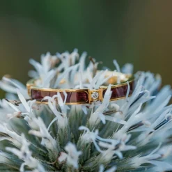BAGUE CAMPANIA