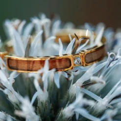 BAGUE CAMPANIA