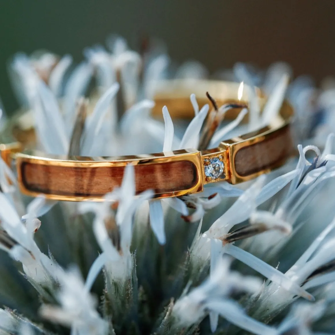 BAGUE CAMPANIA