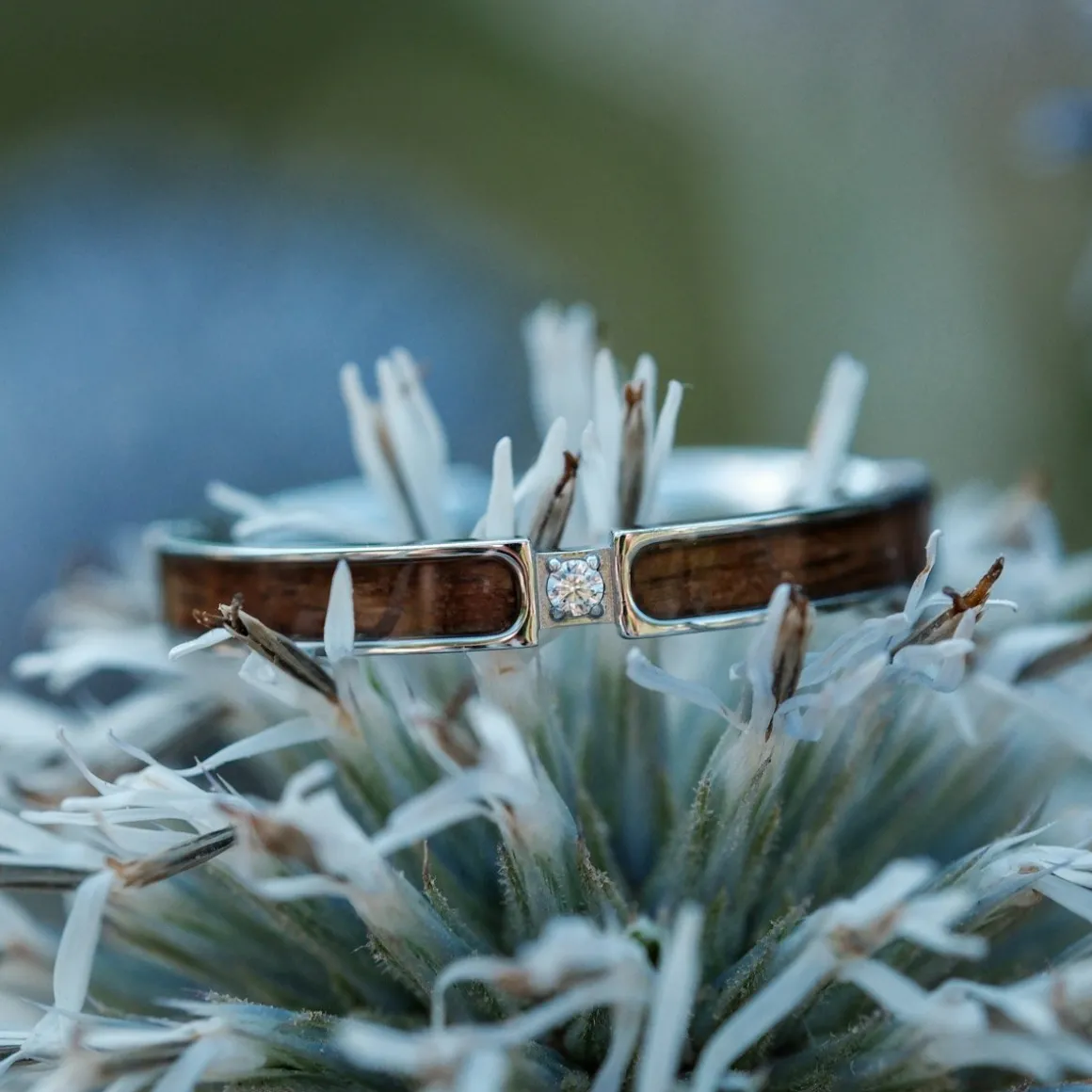 BAGUE CAMPANIA II