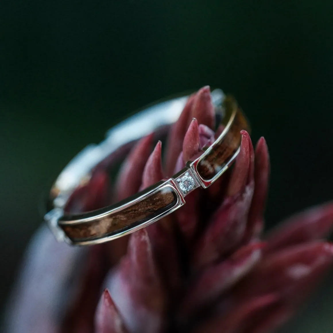 BAGUE CAMPANIA II