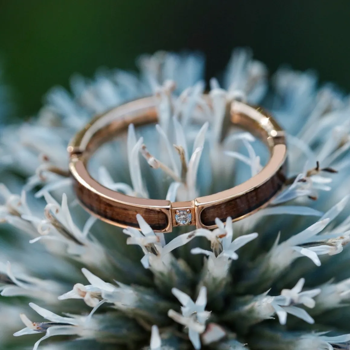 BAGUE CAMPANIA II
