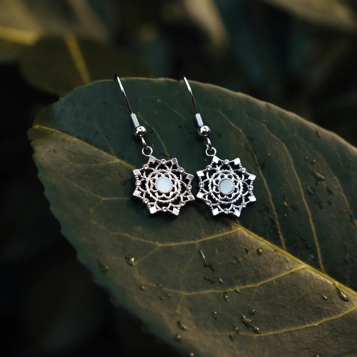 Boucles d'oreilles Aphonia