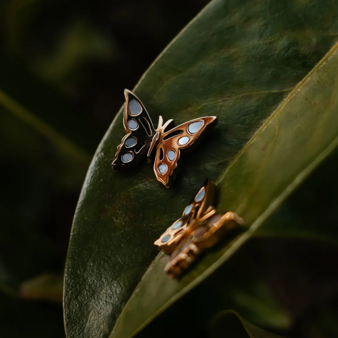 Boucles d'Oreilles Fritillary