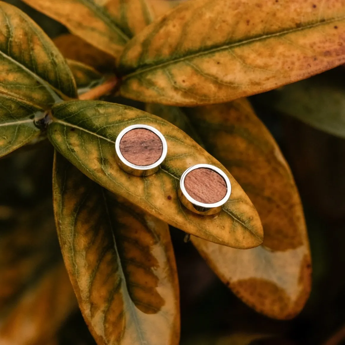 Boucles d'oreilles Pigment