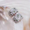 Boucles D'oreilles Silverstream
