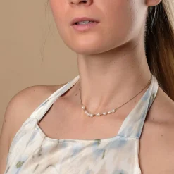 Collier Familytie
