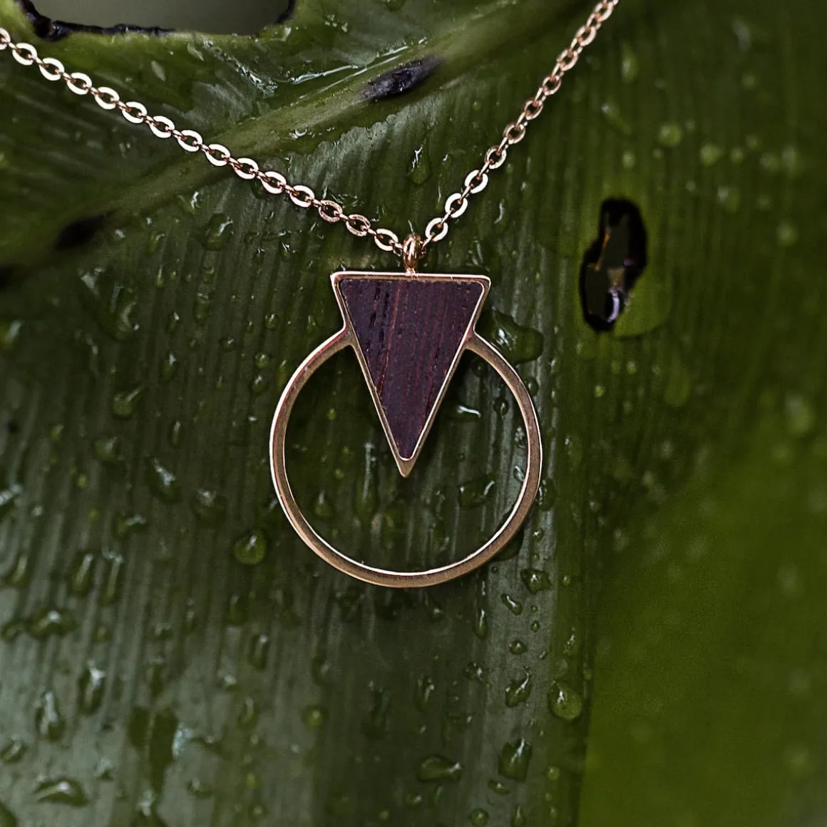 Collier Focus