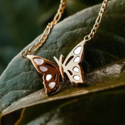 Collier Fritillary