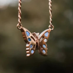 Collier Fritillary