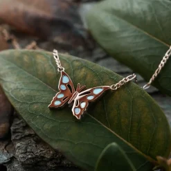 Collier Fritillary