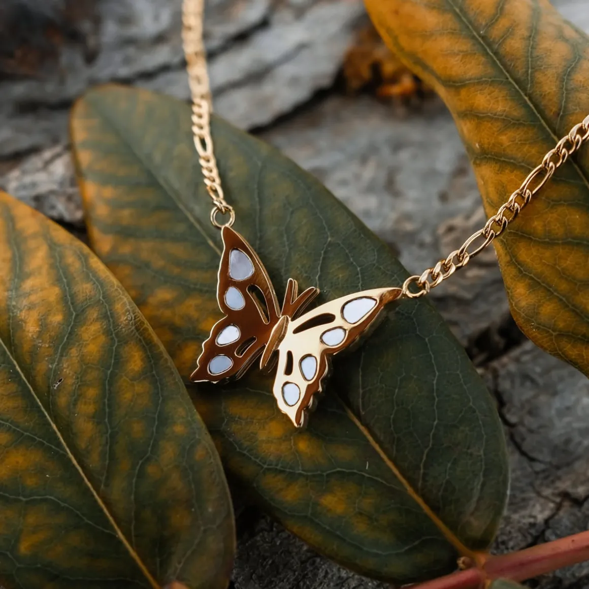 Collier Fritillary