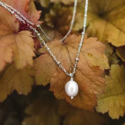 Collier Panoramic