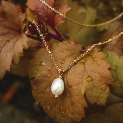 Collier Panoramic