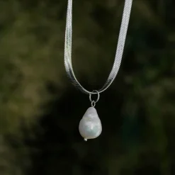 COLLIER SUMMERSWEET