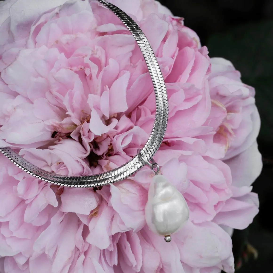 COLLIER SUMMERSWEET
