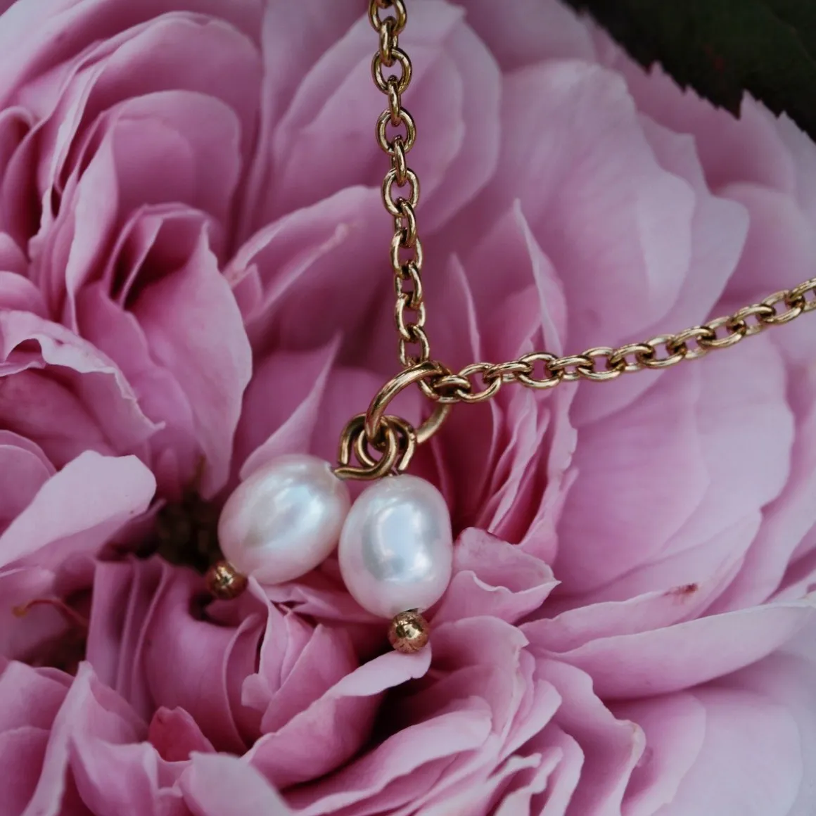COLLIER SUMMERSWEET