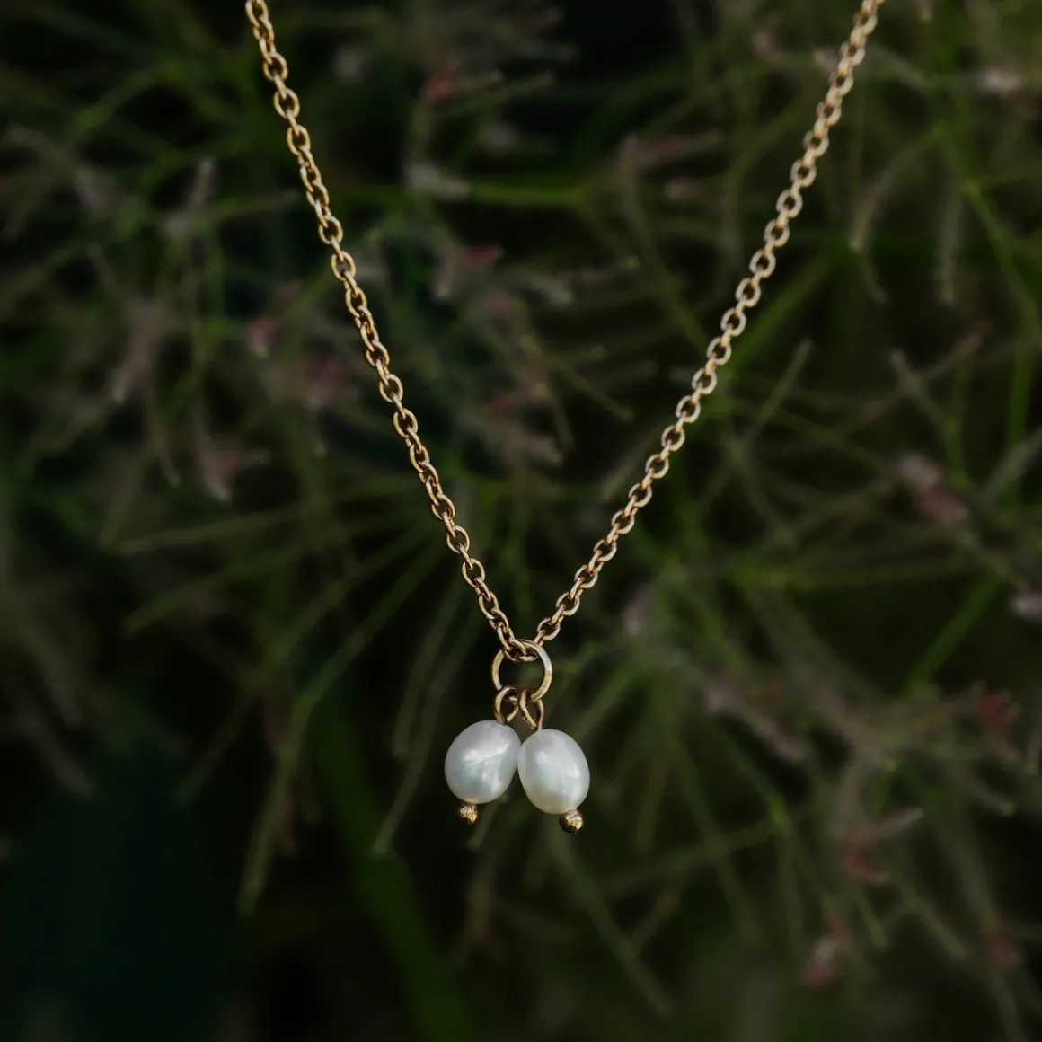 COLLIER SUMMERSWEET