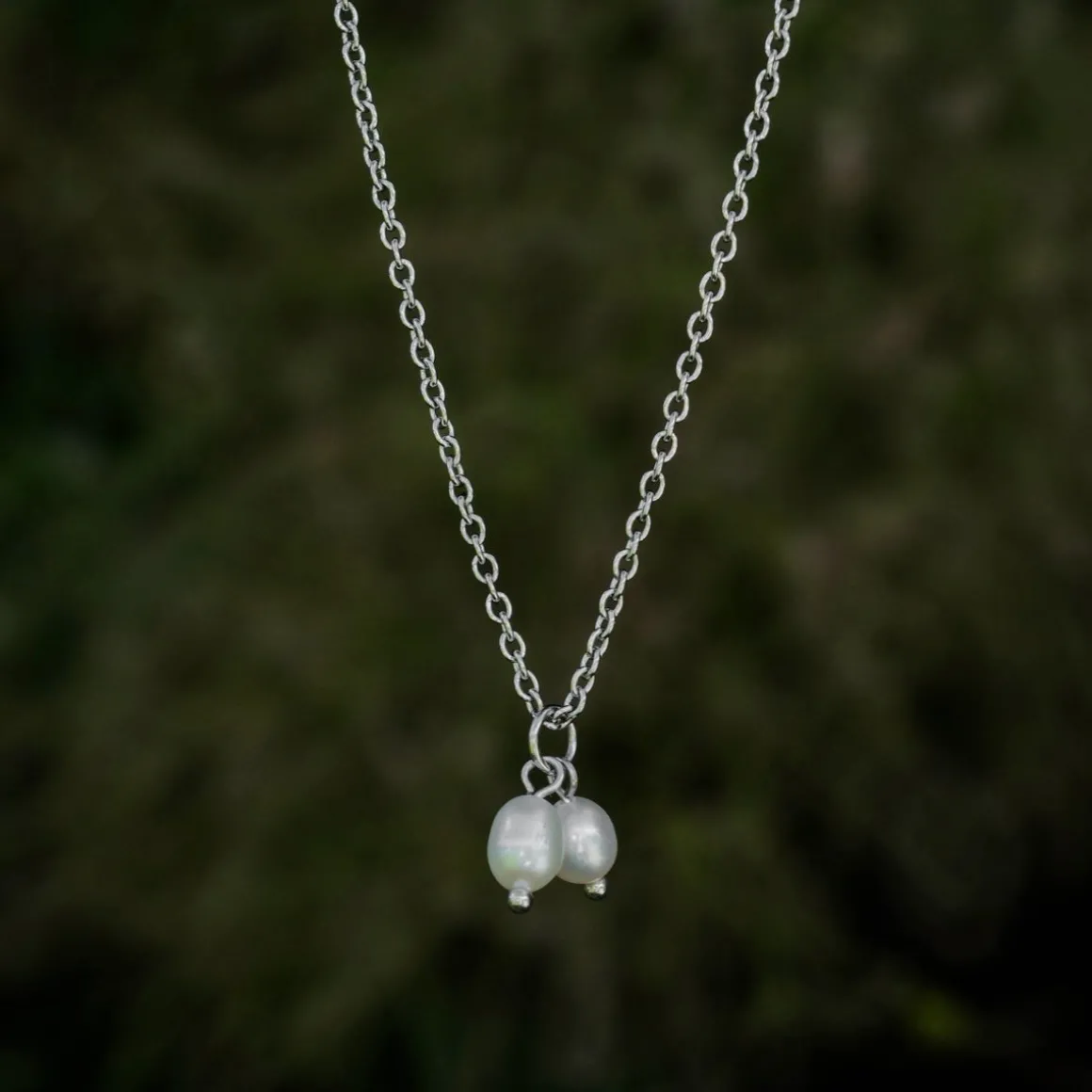 COLLIER SUMMERSWEET