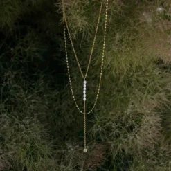 COLLIER SUMMERSWEET