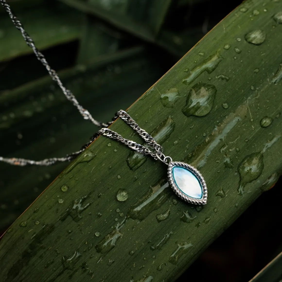 Collier Visual