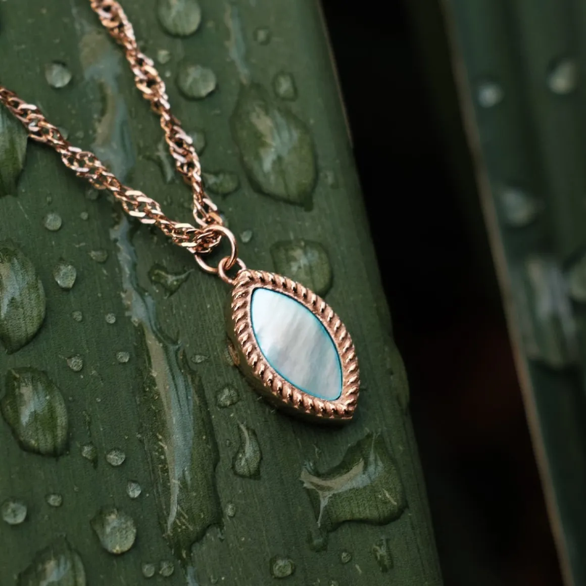 Collier Visual