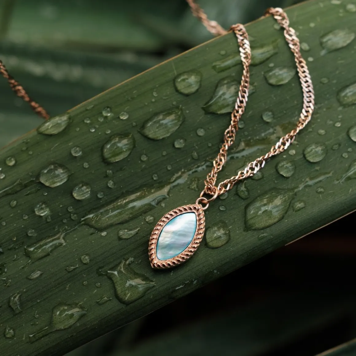 Collier Visual